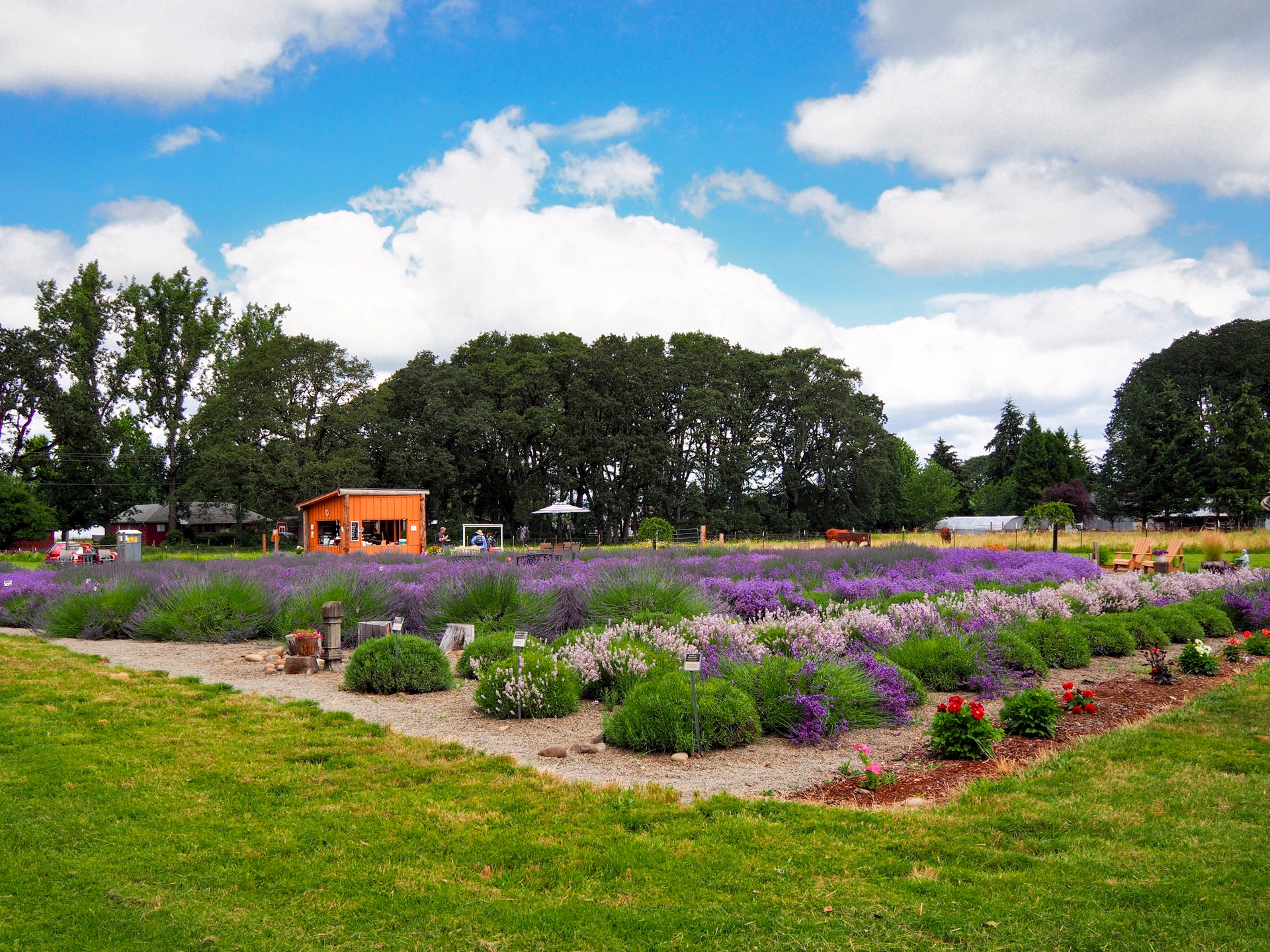 Lavender Sachet — Hope Ranch Lavender